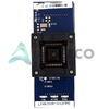 WASM80QCD