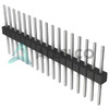 PEC17SFCN